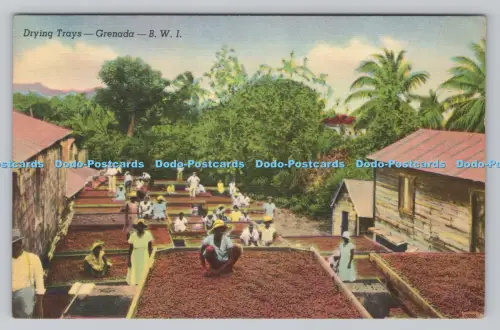R806851 Grenada. B.W.I. Trockenschalen. Ein Farbbild. Masse. U.S.A