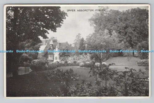 R808576 Ipswich. Oberes Arboretum. E. T. W. Dennis. London. Scarborough
