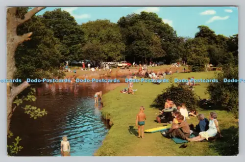 R810636 Brockenhurst. New Forest. PM. Christchurch. Hants. 1970