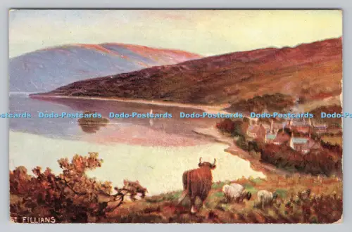 R806855 St. Fillians. S. Hildesheimer. London. Manchester. In den Trossachs. Nr.