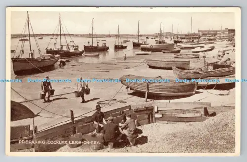 R805290 Leigh on Sea. Herzmuscheln vorbereiten. Valentinstag. Fototypie