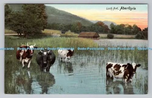 R806904 Aberfoyle. Loch Ard. F. Hartmann. Real Glossy Serie. G.Nr. 4229. 3. PM