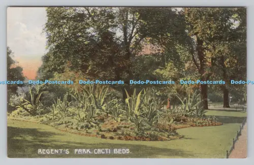 R806913 Regent Park. Kakteenbetten. W. G. C. London