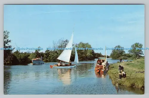 R810713 in der Nähe von South Walsham Broad. Ernest Joyce. Norwich. Plastichrome von Colourp