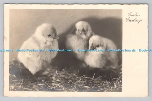 R808656 Ostergrüße. Küken. PM. Watford. Herten. 1937