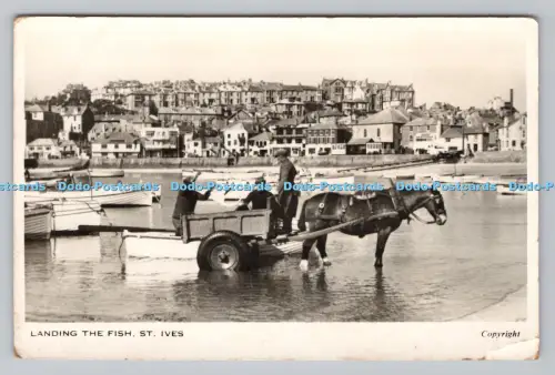 R810733 St. Ives. Landung der Fische. The Snap Shop. The Wharf. RP