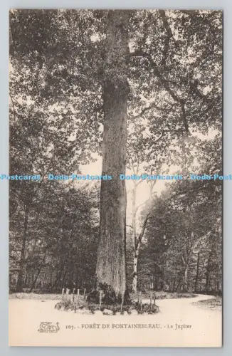 R805432 Foret de Fontainebleau. Le Jupiter. Postkarte