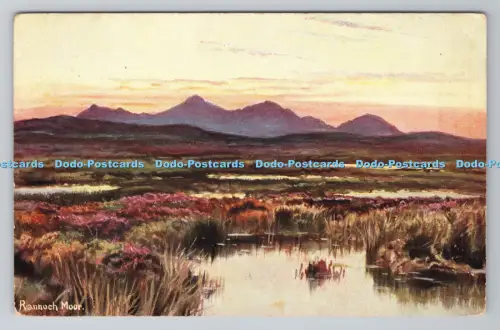 R805437 Rannoch Moor. S. Hildesheimer. London. Manchester. Scottish Lochs und G