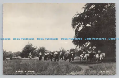 R807019 Epping Forest. Cranley Werbekalender