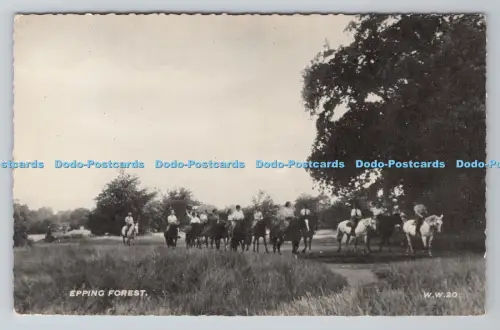 R805474 Epping Forest. Cranley Werbekalender