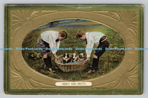 R808779 Sind sie nicht hübsch. Jungen und Hunde. Wildt und Kray. London. Serie. 1802.