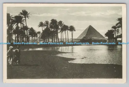 R810853 Kairo Landschaft mit Pyramiden von Gizeh. Castro Brothers