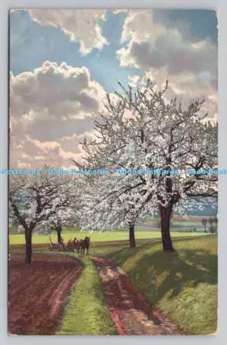 R807105 Spring Time. Pferd unterwegs. Photochromie. Serie. 99. Nr. 2170. PM. S