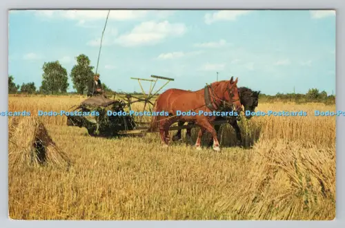 R805662 Britain Countryside. Haravesting. J. Salmon. Sevenoaks