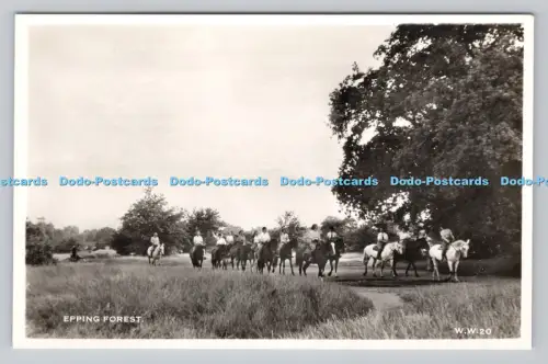 R807246 Epping Forest. Cranley kommerzielle Kalender. RP