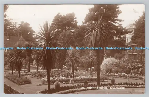 R805690 Boscombe. Die Gärten. RP