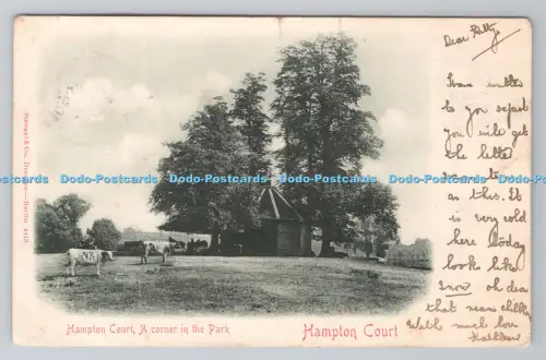 R805730 Hampton Court. Eine Ecke im Park. Stengel. Dresden. Berlin. PM. Richm