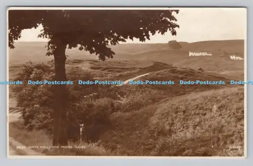 R809051 Ilkley. Weiße Brunnen und Moore. Richter. 2637. RP