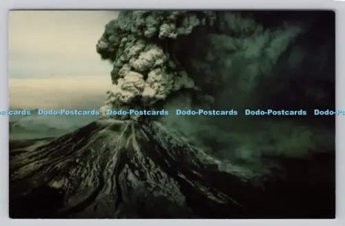 R811142 Mount St. Helens. Coral Lee. Mike Roberts. Jack Leffler