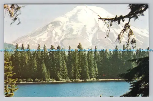 R811143 Mount St. Helens. Coral Lee. Mike Roberts