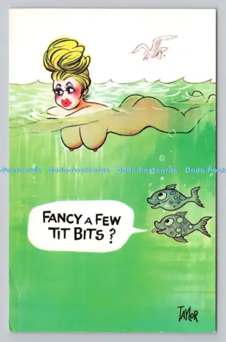 R811216 Ausgefallen ein paar Meisenbits. Bamforth. Holmfirth. Yorkshire. Comic Serie. Nr.