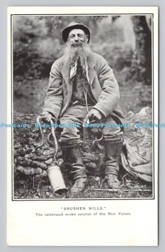R811272 Bürstenmühlen. Der gefeierte Schlangenfänger des New Forest. Short Pub