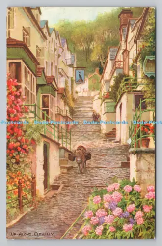 R807505 Clovelly. Oben entlang. J. Salmon. Sevenoaks