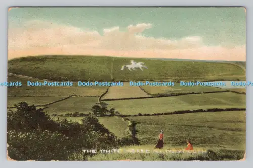 R809252 Weymouth. Das weiße Pferd. 1906