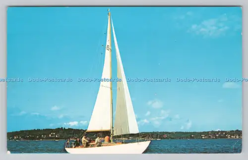 R809268 Cruisen in den Dorset Waters. Gämse. Weiße Segel. Plastichrome von Col