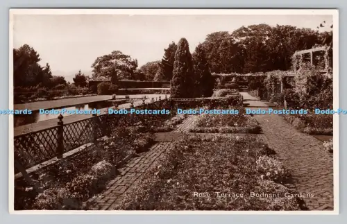 R809339 Bodnant Gardens. Rosenterrasse. Valentinstag. RP