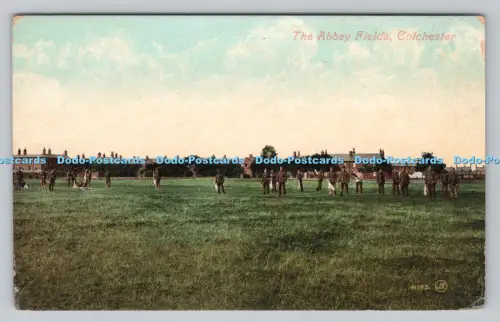 R807630 Colchester. The Abbey Fields. Valentine Serie
