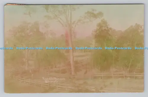 R809354 Road to Mulgoa. 1907