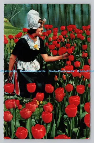 R811414 Holland in Blumendekoration. Vita Nova