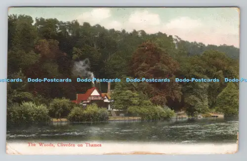 R806070 Cliveden an der Themse. The Woods. Misch und Lagerbestand. Kameragrafiken. 1905