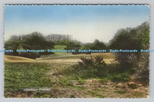 R807666 Hainault Forest. Cranley Werbekalender