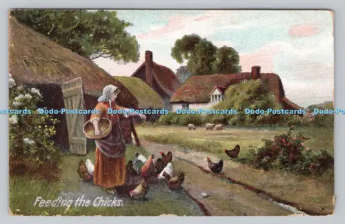 R807669 Füttern der Küken. J. W. B. London. Handelsserie. Nr. 310. 1911