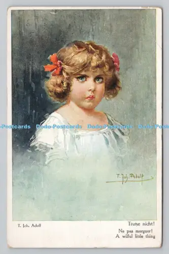 R807733 Eine willentliche Kleinigkeit. T. Joh. Adolf