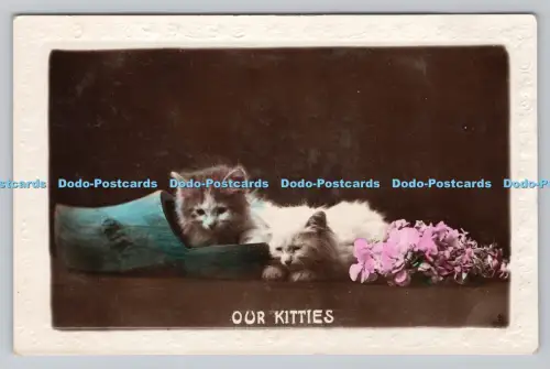 R807736 Unsere Kätzchen. Der Regent. London. RP
