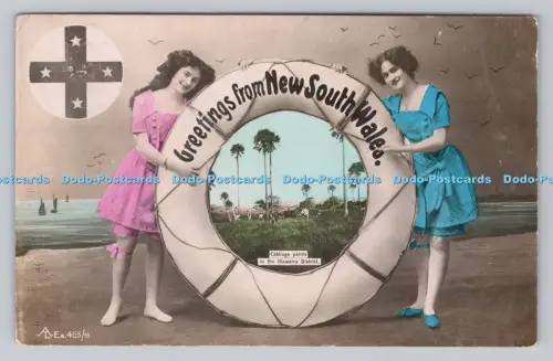 R809456 Grüße aus New South Wales. Kohlpalmen. Im Bezirk Illawarra