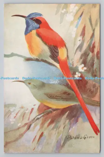 R809457 Feuergeschwanzter. R. S. Art Press. London. Roland Green