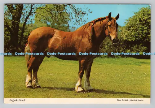 R807754 Suffolk Locher. John Hinde. F. W. Pawsey. D. Edel