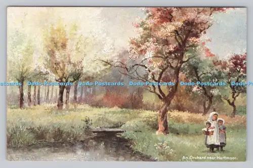 R809502 Ein Obstgarten in der Nähe von Hartmoor. B. B. London. Serie. Nr. A6. A. Stead