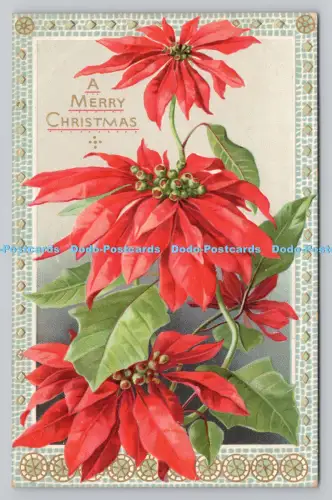 R807797 Frohe Weihnachten. Blumen. stecken. Der Weihnachtsstern. Nr. 518