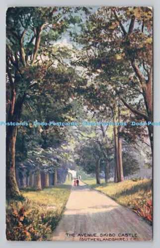 R809587 Sutherlandshire. The Avenue. Skibo Castle. stecken. Oilette. Bonnie Scotlan