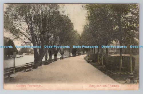 R806286 Kingston on Thames. Canbury Promenade. 1905