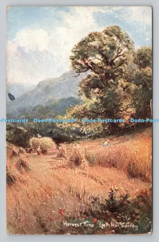 R809655 Sorrey. Lieth Hull. Erntezeit. S. Hildesheimer. London. Manchester. S