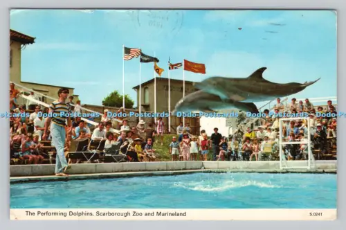 R808025 Scarborough Zoo and Marineland. Die darstellenden Delfine. E. T. W. Dennis