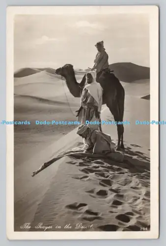 R809769 Die Gebete in der Wüste. Lehnert und Landrock. Kairo