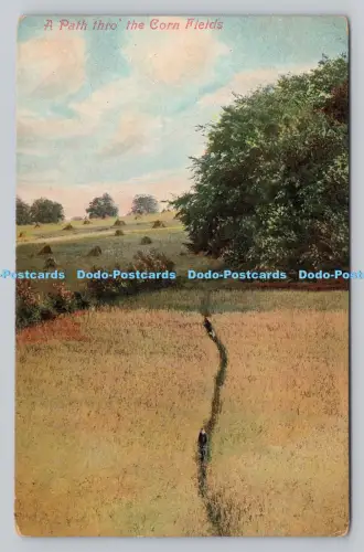 R809772 Ein Weg durch die Maisfelder. Valentine Serie