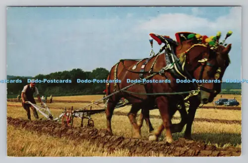 R810151 Sussex. Großbritannien Countryside. Pflugstreichholz in East Grinstead. J. Salmo